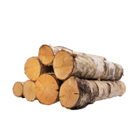 WOOD LOGS BIRCH WOOD LOGS SPRUCE WOOD LOGS