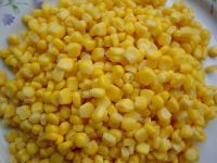 WHOLESALE YELLOW SWEET CORN FROZEN CORN KERNELS