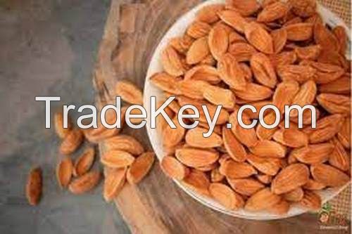 Iranian Mamra almond kernel