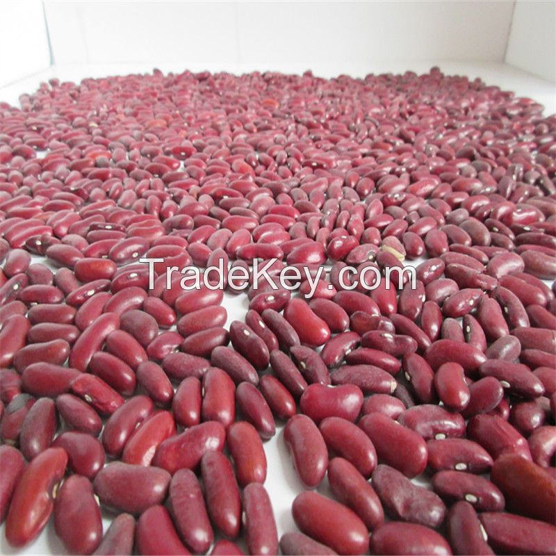Wholesale Dried Small Dark Red Kidney Beans Price