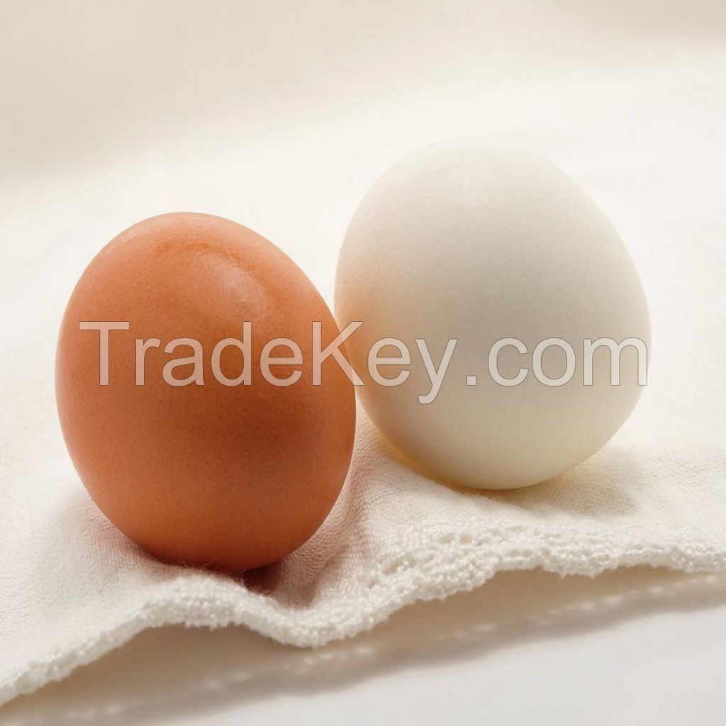 Broiler hatching eggs Ross 308 and Cobb 500 and Chicken Table Eggs