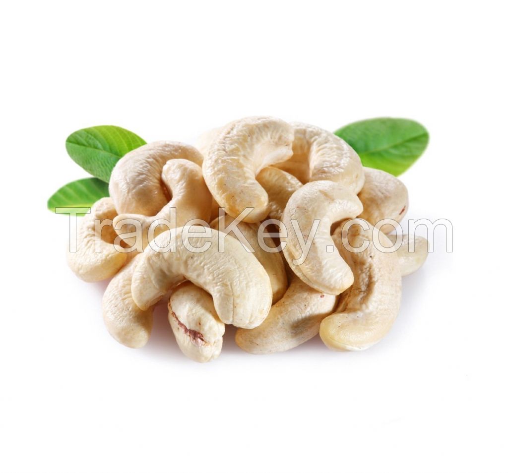 Origin Vietnam wholesale price premium quality organic cashew nut /raw cashews