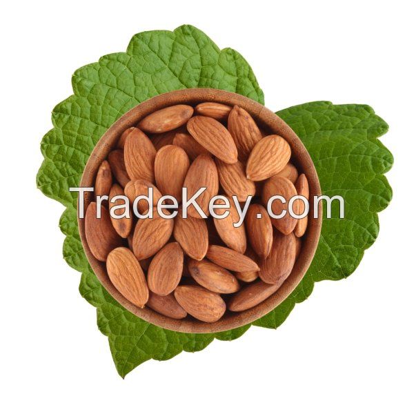 Wholesale price Raw Almonds Available, delicious and healthy Raw Almonds Nuts