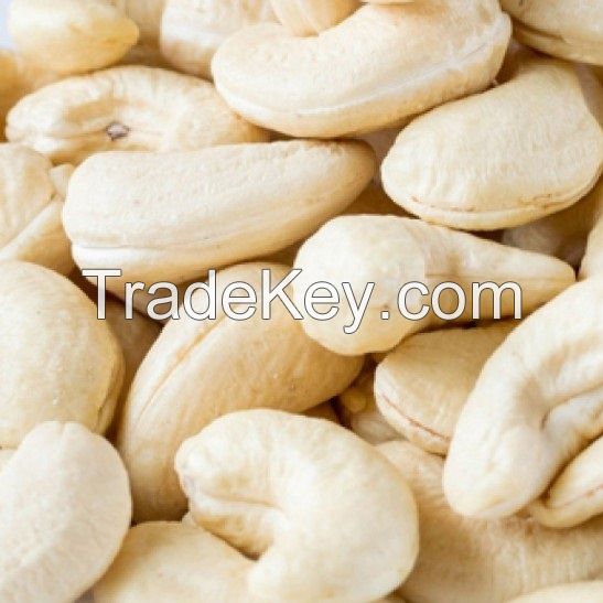 Wholesale Vietnamese High Quality Raw Cashew Nuts With Best Price And All Size Raw Cashew Nuts W180