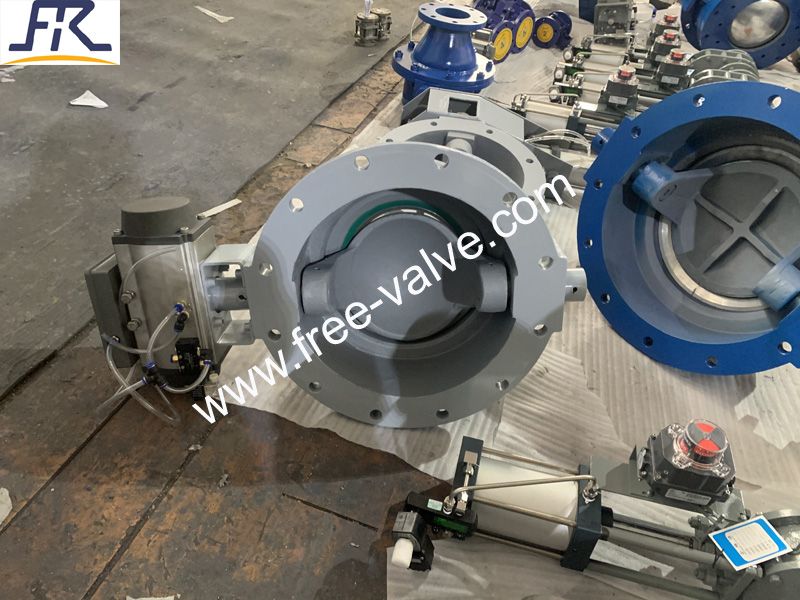 Swing Arc Valve