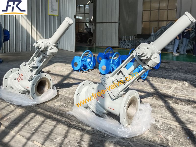 DN150 10K Y Type Globe  Valve