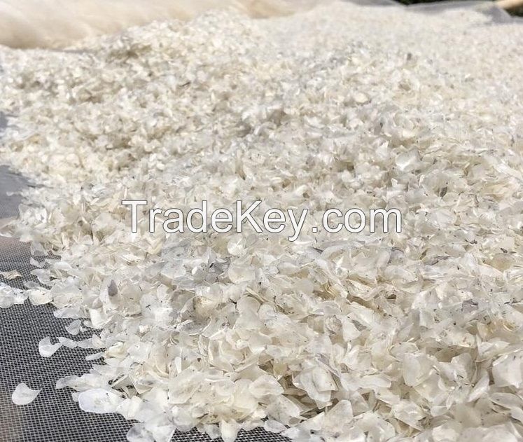 Hot selling DRIED FISH SCALES from Vietnam