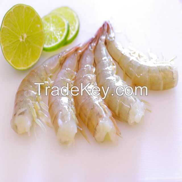 Vannamei Shrimp whatsApp (+84) 378296963