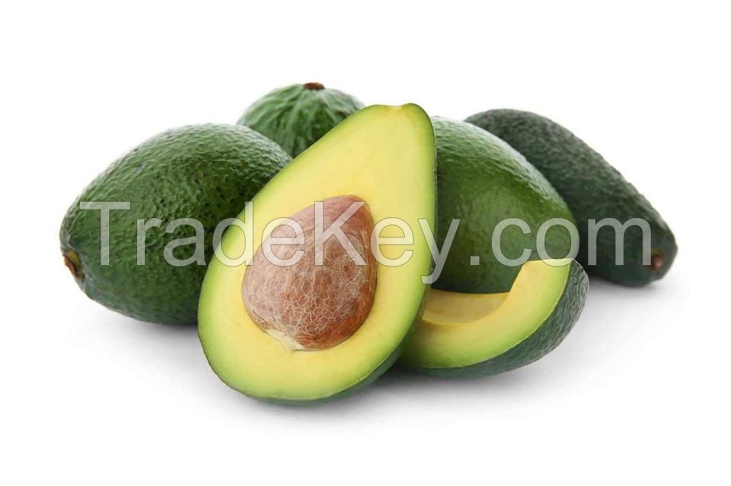 Be a supplier of Fresh Hass Avocado From Vietnam (HuuNghi Fruit)