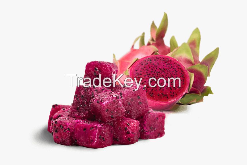 Be a supplier of Frozen IQF Dragon Fruit From Vietnam (HuuNghi Fruit)