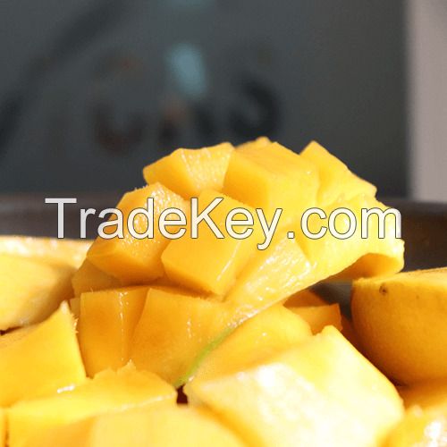 Be a supplier of Fresh Cat Hoa Loc Mango From Vietnam (HuuNghi Fruit)