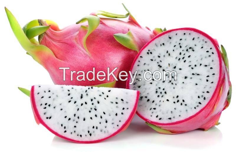 Be a supplier of Fresh Dragon Fruit From Vietnam (HuuNghi Fruit)