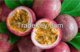 Fresh Passion Fruit From Vietnam Good for Health Sells with Competitive Price (HuuNghi Fruit)