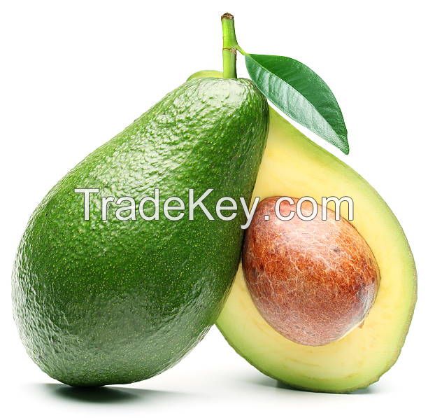 Frozen Avocado From Vietnam Good for Health Sells with Competitive Price (HuuNghi Fruit)