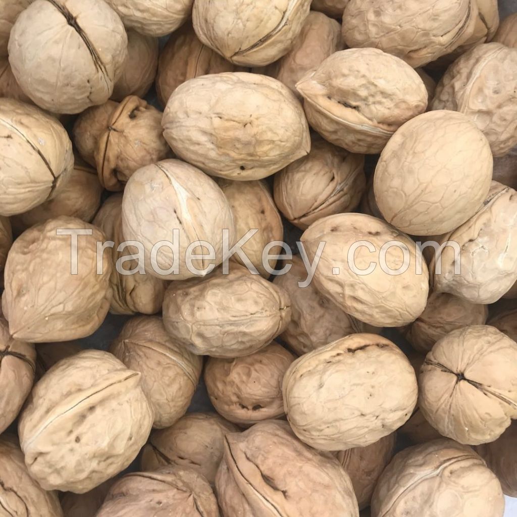 100% Natural Healthy Food Thin Skin Walnuts in Shell
