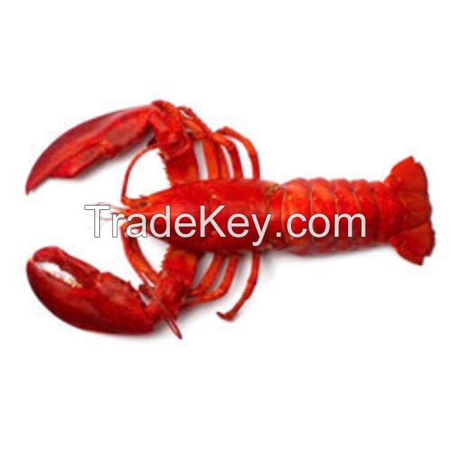 Frozen Crawfish Lobster Natural Fresh Seafood