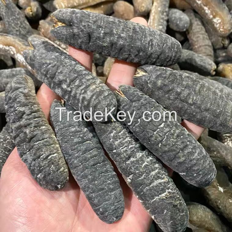 High Quality Dried and Frozen Bald Sea Cucumber, Natural Wholesaler Sea Cucumber