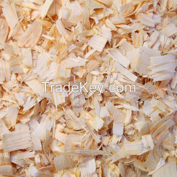 Pine wood chips/ Eucalyptus pulp wood chip