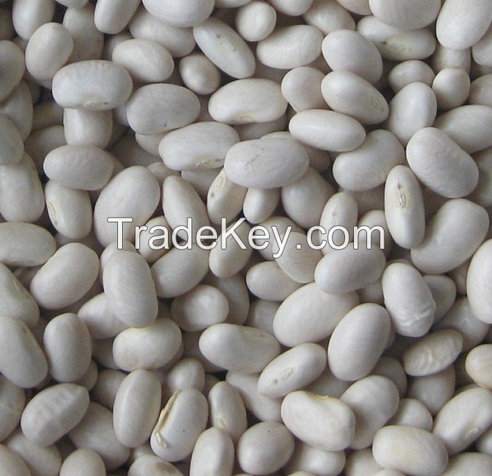 Bulk Dried Butter Beans White Kidney Beans