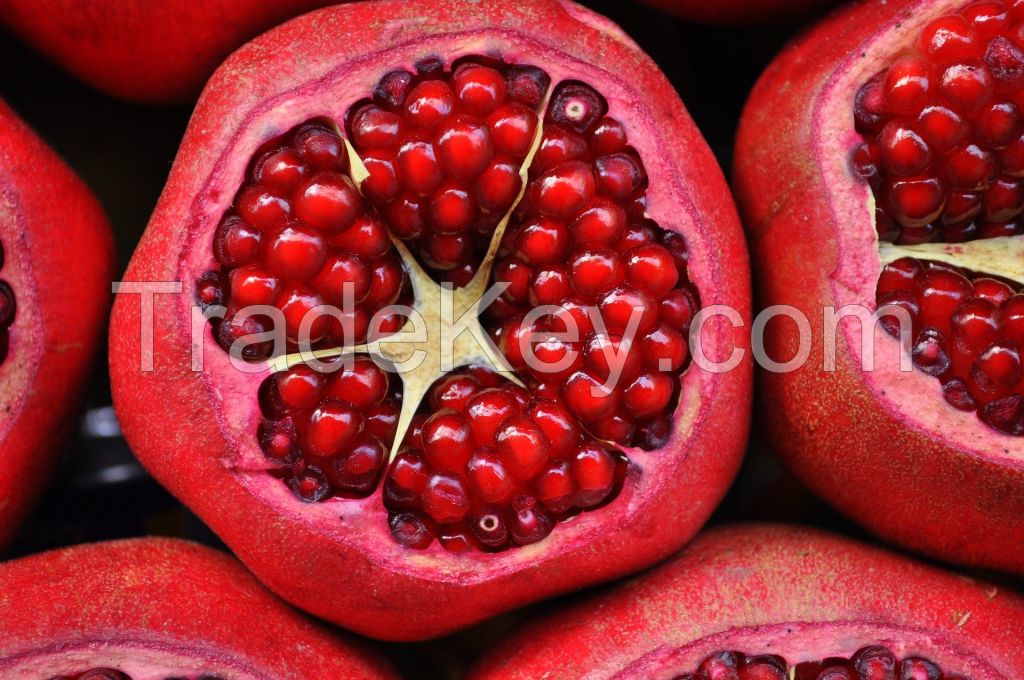Fresh Turkish Pomegranate Best Quality Best Prices