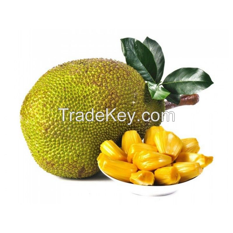 Wholesale dried Jack Fruit Seeds with low price and High quality organic jackfruits Seeds hot sales