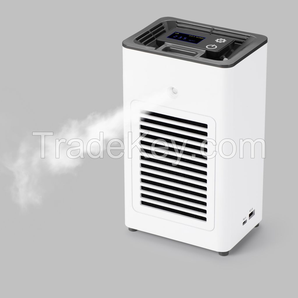 Air Purifier  (Limited Time Offer)