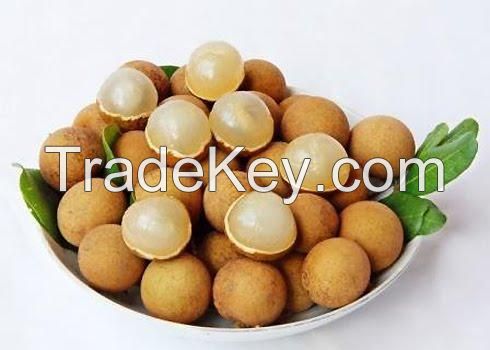 Sell Fresh Hung Yen Longan - High Quality, Stable Supply (HuuNghi Fruit)