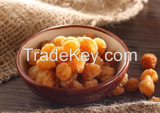 Sell Dried Longan - High Quality, Stable Supply (HuuNghi Fruit)