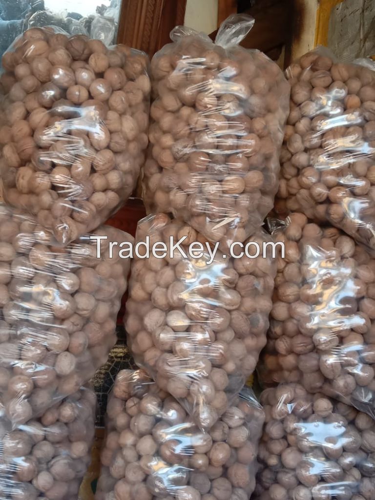 Kashmiri Walnuts for Export