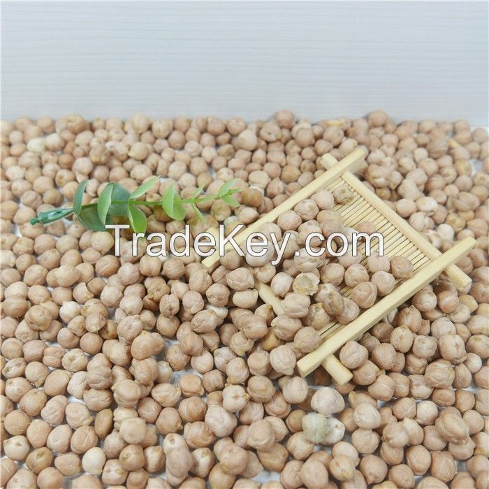 100% Natural White Chickpeas 8 mm