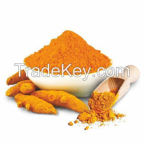 wholesale organic Tumeric root extract powder/radix curcumae extract