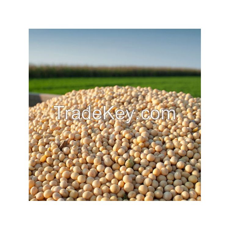 High Quality Soya Beans Soybeans at Low Market Price