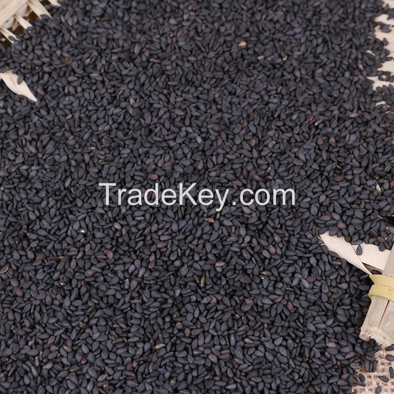 White Sesame Seeds 100% Natural Oil Sesame Seeds