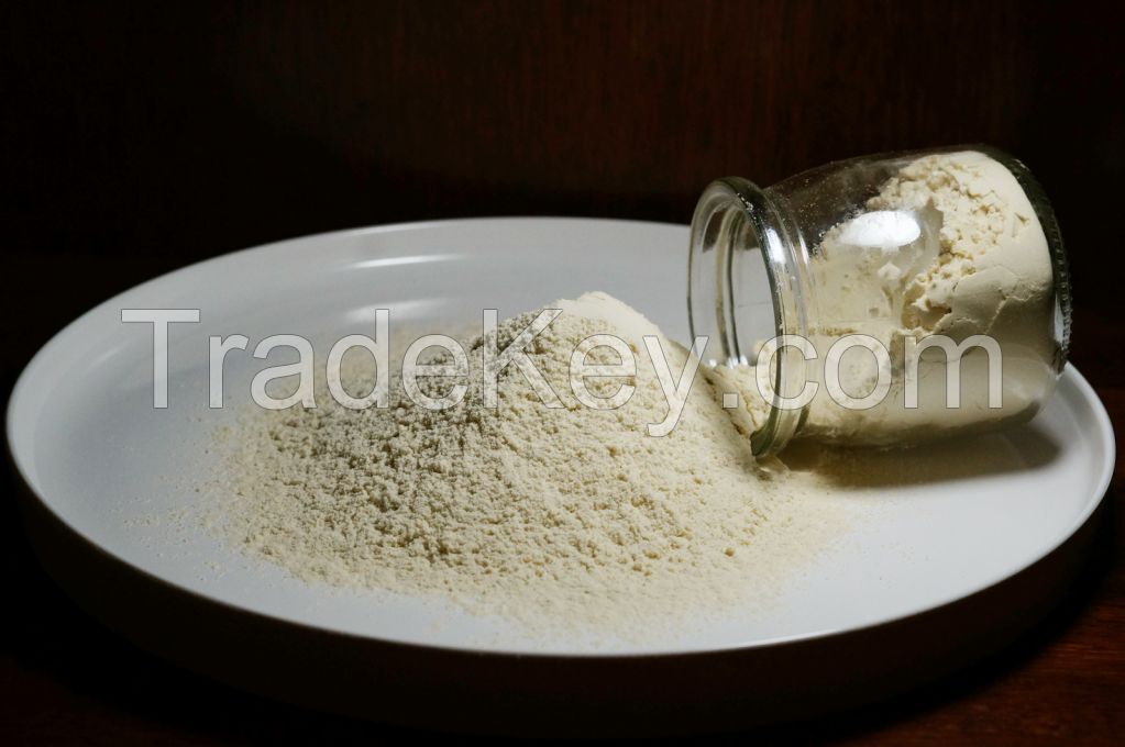 Instant Soybean Milk Powder Cane Sugar Free