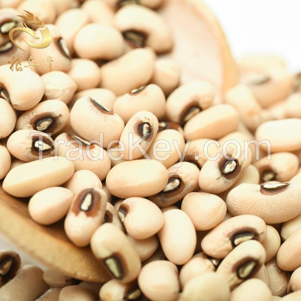 Best price Quality Black Eyed Cowpea Beans