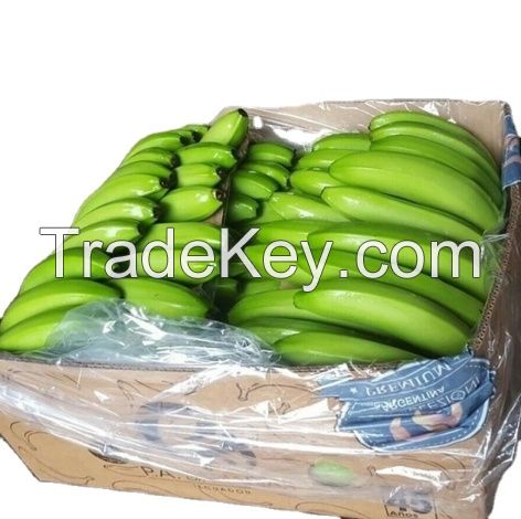 FRESH CAVENDISH BANANAS