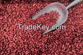 Fresh Kidney Beans