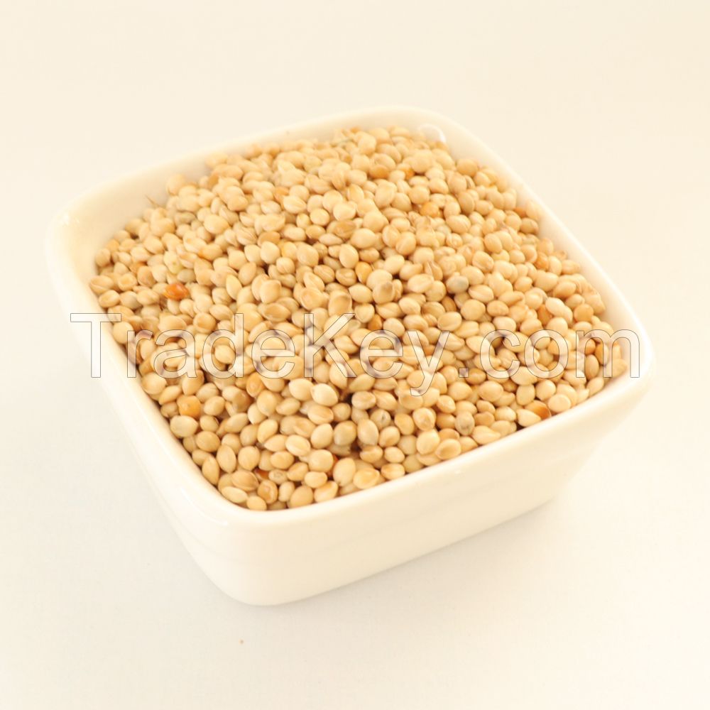 New crop White Millet for Bird seed