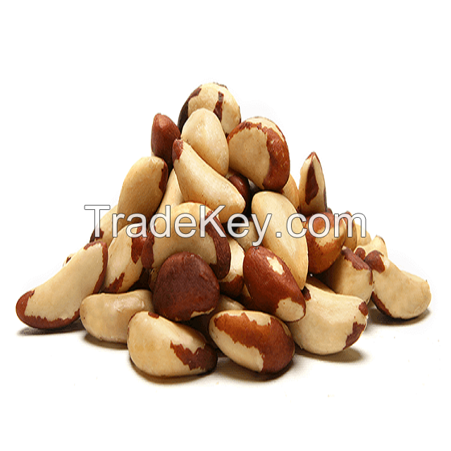 100% Pure Natural High Quality Brazil Nuts