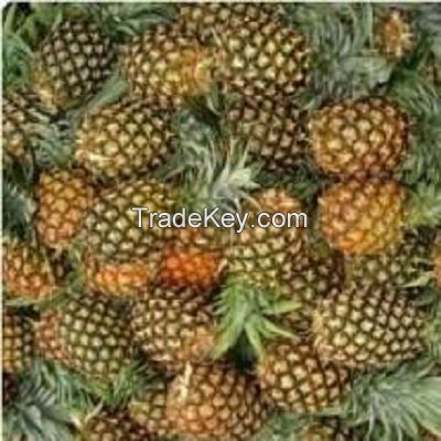 Fresh Sweet Pineapples, Canned Pineapples Ready For Export!