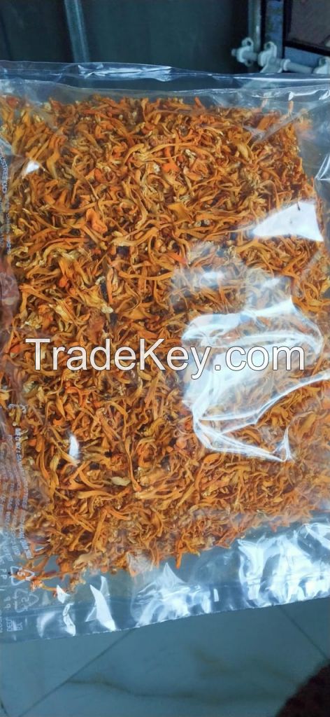 I want to sell large quantity of cordyceps militaris and ganoderma mushroom from india