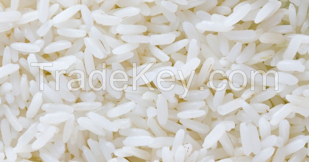 High quality low price rice