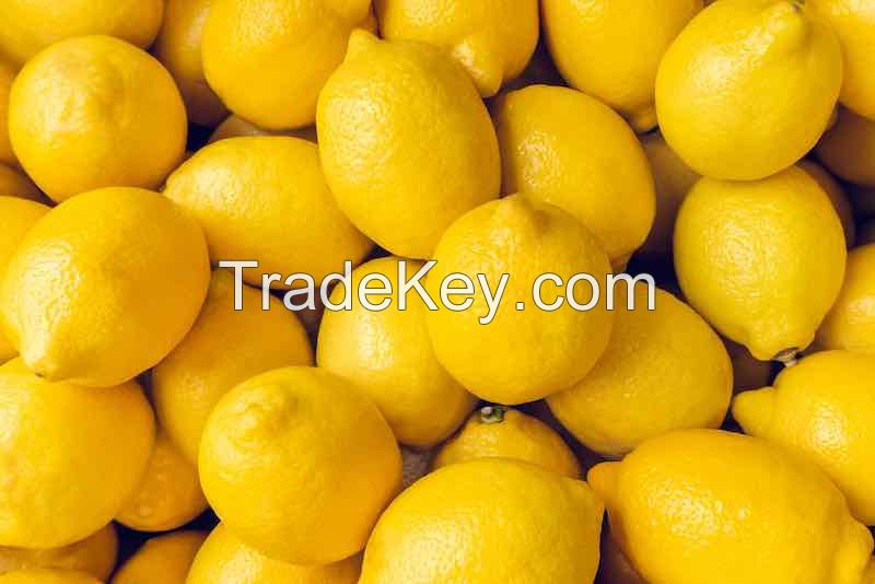 High quality citrus fruits Yellow Count Sweet Lemon