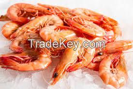 DRY AND BLENDED CRAYFISH