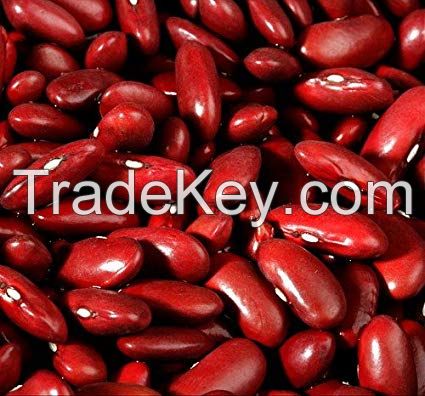 RED KIDNEY BEANS