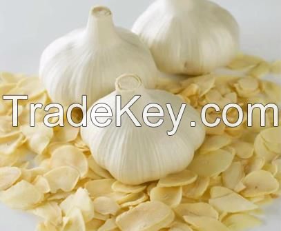 Top Quality Dried /Dehydrated Garlic Granules in China Factory