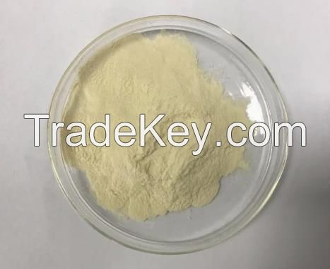 Organic Vegan Pea Protein Isolate Powder