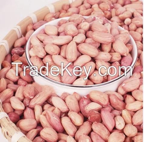 Hot Sale Peanut Kernels China Factory Directly