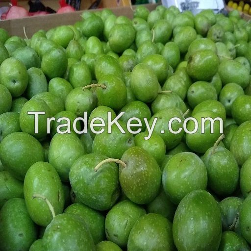 Best and Good Quality fresh Olives For Sale