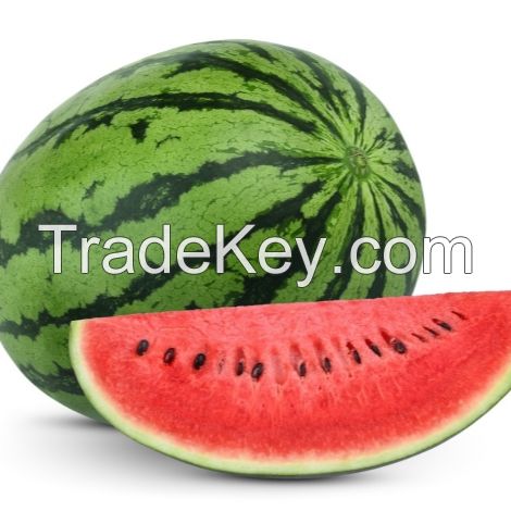 Fresh Water Melon